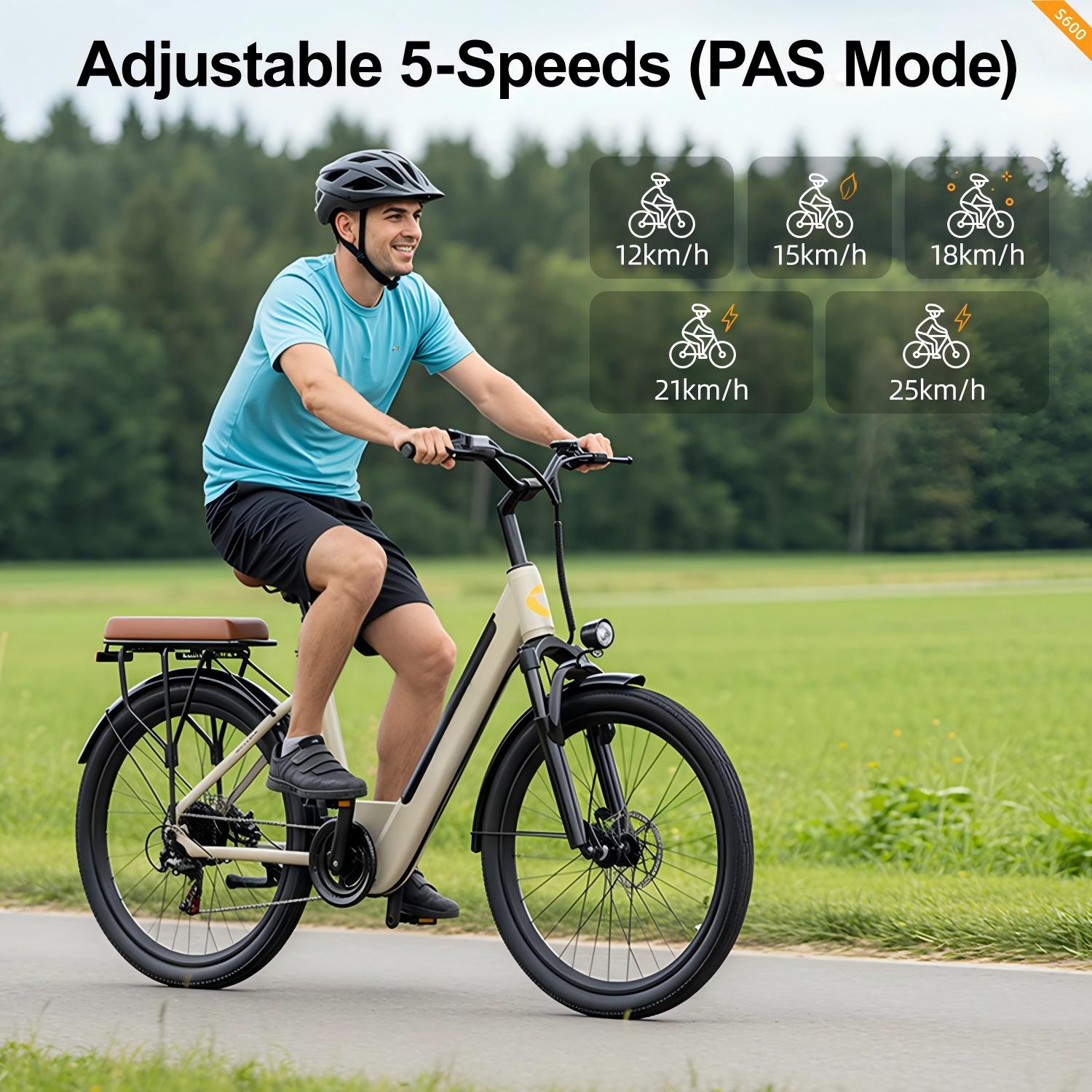 s600 250w brushless motor 36v13ah battery electric bicycle