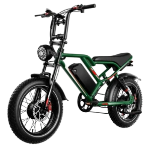 20 Inch Fat Tire Electric Mountain Bike Dual Motor Fatbike 2000W QJ8 Electric City Bicycle Electric Bicycle EBIKE for Adults
